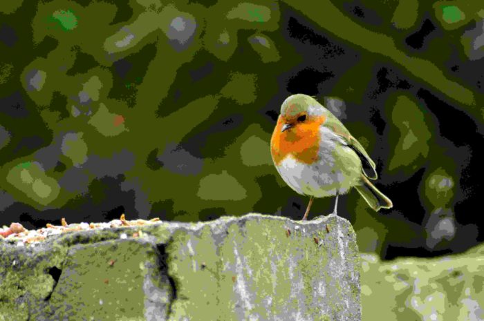 Robin Pop At Canvas Prints - Walk The High Street