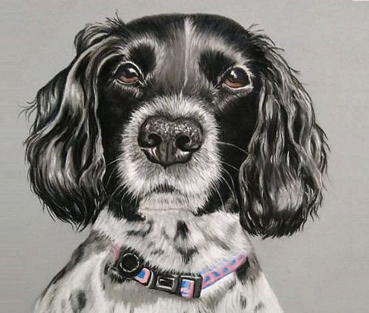 Personalised pet portraits online at Walk The High Street
